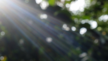 blurred nature background with sun ray and bokeh effect.の写真素材