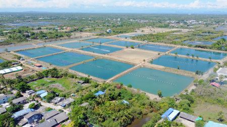 aerial view of salt farm in rural area,Thailand.の写真素材