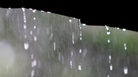 Raindrops cascading from a roof, captured in detail against a soft, blurred green backdrop, evoking...