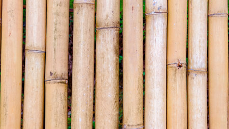 Detailed view of bamboo stalks showcasing natural texture and earthy colors, perfect for backgrounds or nature-themed designs.の写真素材