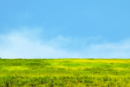 Vibrant green field beneath a bright blue sky, showcasing the tranquility and beauty of nature.