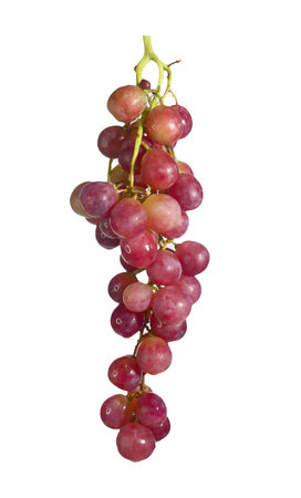 A vibrant bunch of red grapes with a green stem, isolated on a white background, showcasing their fresh and juicy appeal.の写真素材