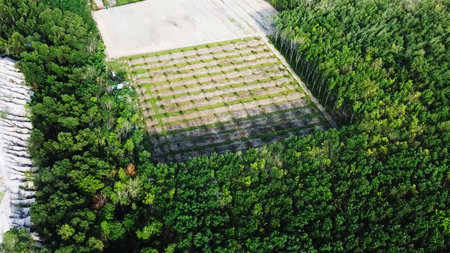 Aerial shot showcasing a vibrant green forest encircling a well-maintained agricultural field, highlighting nature and farming.の写真素材