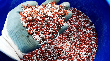 Close-up of a gloved hand holding red and white granular fertilizer, ideal for agriculture and gardening concepts.の写真素材