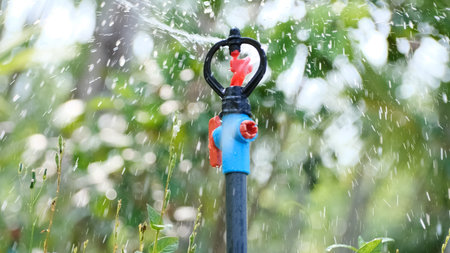 ** A garden sprinkler in action, spraying water droplets over plants with a lush green background, captured on a sunny day.

**の写真素材