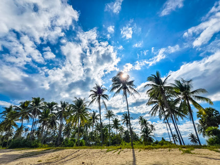 Stunning tropical beach scene featuring tall palm trees against a bright blue sky with fluffy clouds.の写真素材