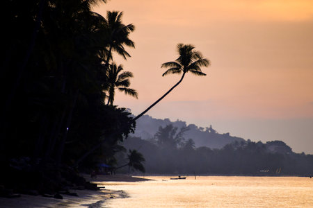 Stunning sunset over a tropical beach with silhouetted palm trees and tranquil ocean waves, creating a peaceful coastal scene.の写真素材