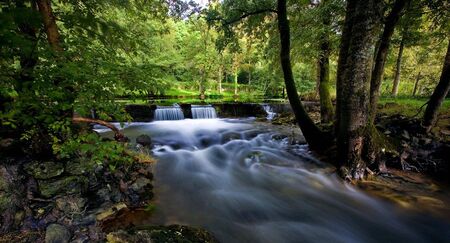 This is a picture of The Brookの写真素材