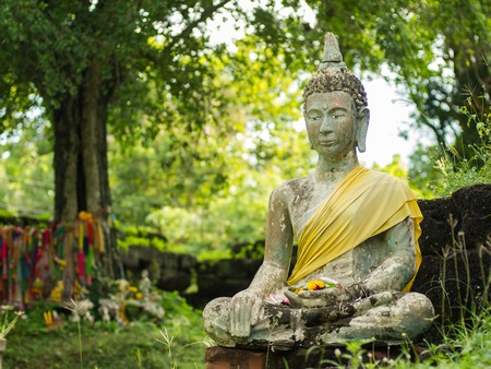 Buddha statusの写真素材