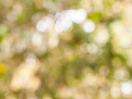 Bokeh background from natural light outside the focus.の写真素材
