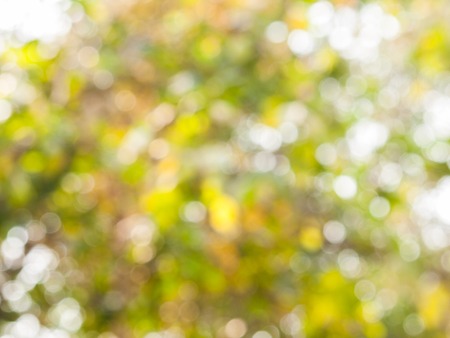 Bokeh background from natural light outside the focus.の写真素材