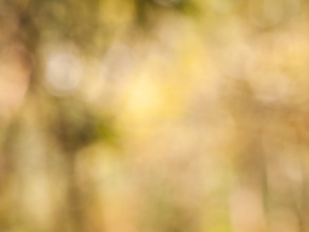 Bokeh background from natural light outside the focus.の写真素材
