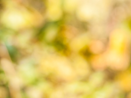 Bokeh background from natural light outside the focus.の写真素材