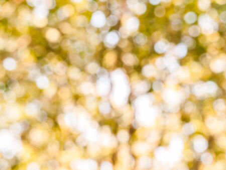 Bokeh background from natural light outside the focus.の写真素材