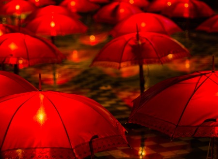 During my holiday in one nightの写真素材
