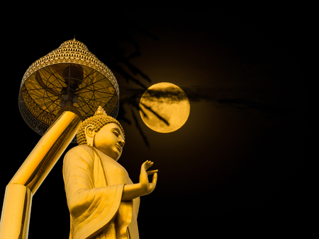 The Golden Buddha standing under the umbrellas . In the moonlight.の写真素材