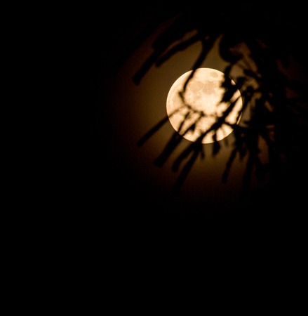 Abstract background, the full moon on the night of dreams.の写真素材