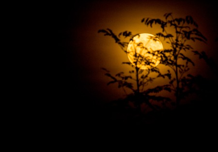 Abstract background, the full moon on the night of dreams.の写真素材