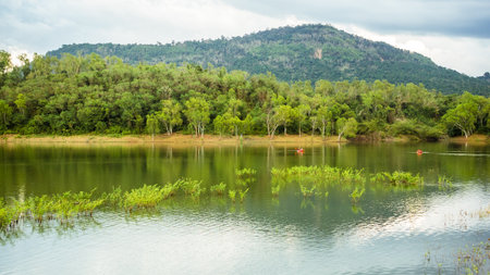 A serene mountain lake surrounded by lush green forest and hills, featuring red kayaks gliding across the calm water. Perfect for nature, outdoor activities, and travel themes.の写真素材