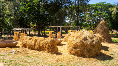 Bundles of hay in a farm in Sri Lanka, Asiaの写真素材
