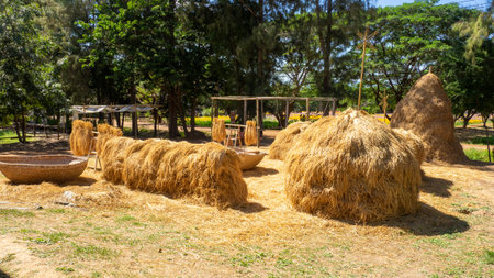 Hay bales in the park at sunny summer day.の写真素材