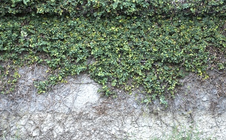Urban grungy street wall, may be used as background or texture の写真素材
