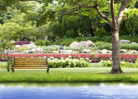 Green parkの写真素材