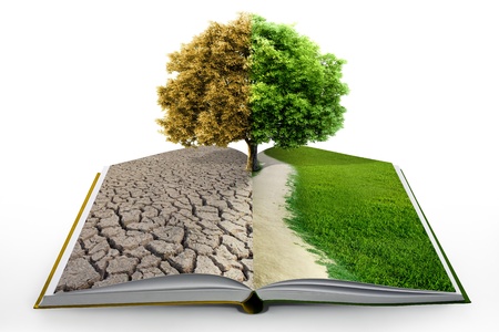 book of natureの写真素材