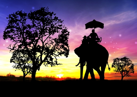 elephant silhouette in thailandの写真素材
