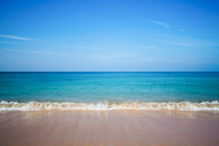 beach and tropical seaの写真素材