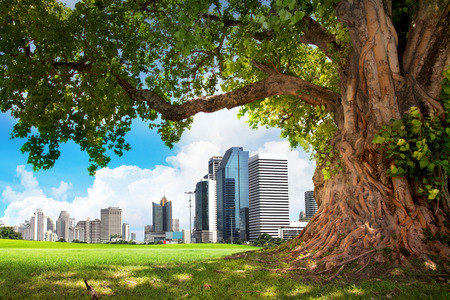 Urban City Skyline in the morning with spaceの写真素材
