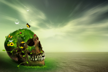 nature concept with skullの写真素材
