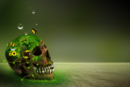 nature concept with skullの写真素材