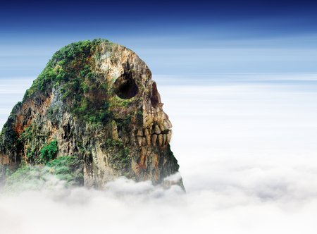 nature concept with skullの写真素材