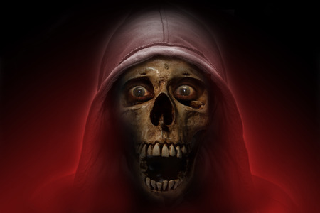 portrait of a skull