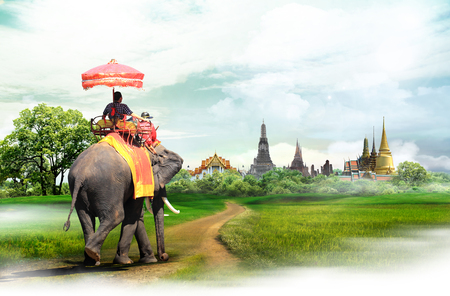 Elephant for tourists on an ride tour in Bangkok, Thailand, conceptの写真素材