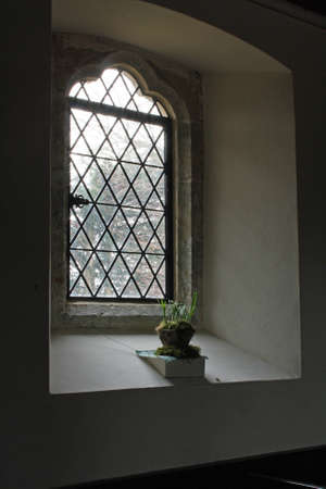 church windowの写真素材