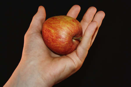 apple in handの写真素材