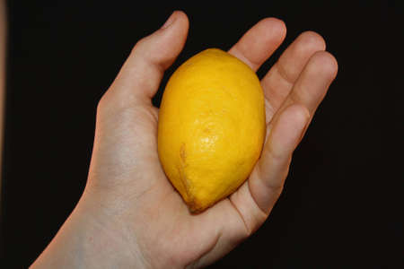 lemon in handの写真素材