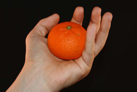 mandarin in handの写真素材
