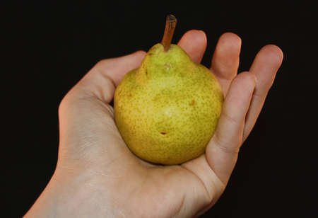 pear in handの写真素材