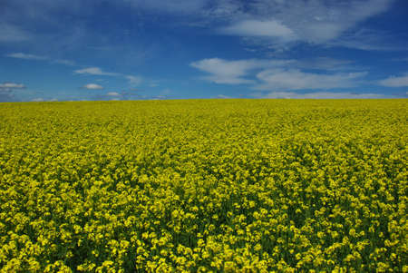 the colourful outdoorsの写真素材