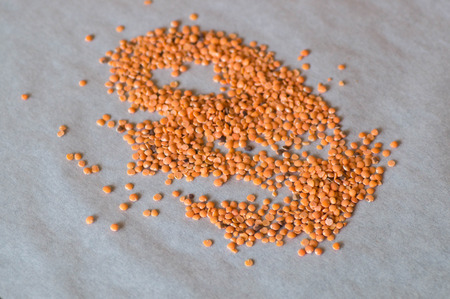 Scattered red lentils on white baking paperの写真素材