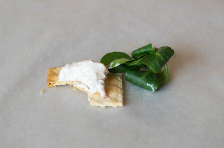 One piece of cracker with cream cheese topping with missing bite, decorated with a green baby salad leafの写真素材