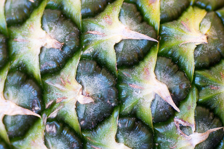 Close up view of a pineapple fruits outside textureの写真素材