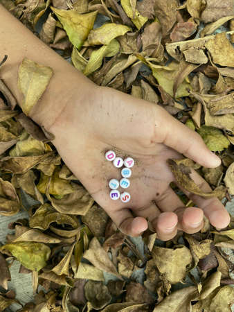A child's hand holds a bunch of dry leaves.