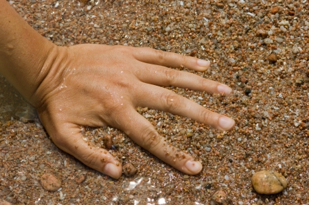 Handsの写真素材