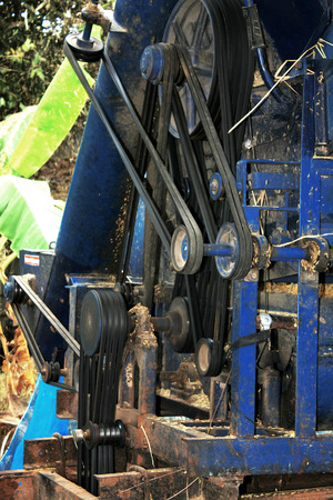 Harvesting combines. Blue combine machine harvesting.の写真素材