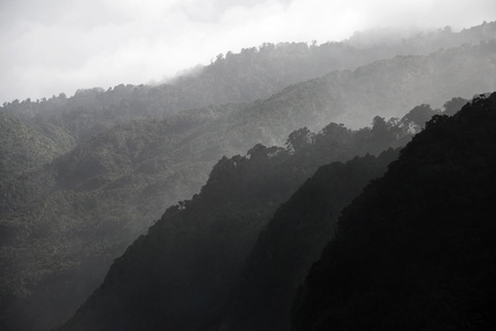 Morning mistの写真素材