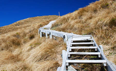 Wooden steps up the hillの写真素材